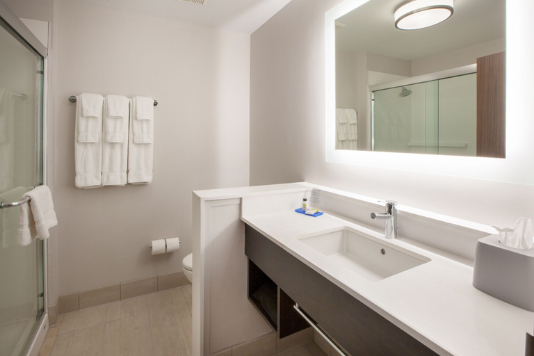 Bathroom 4, Holiday Inn Express & Suites LEANDER by IHG, Williamson