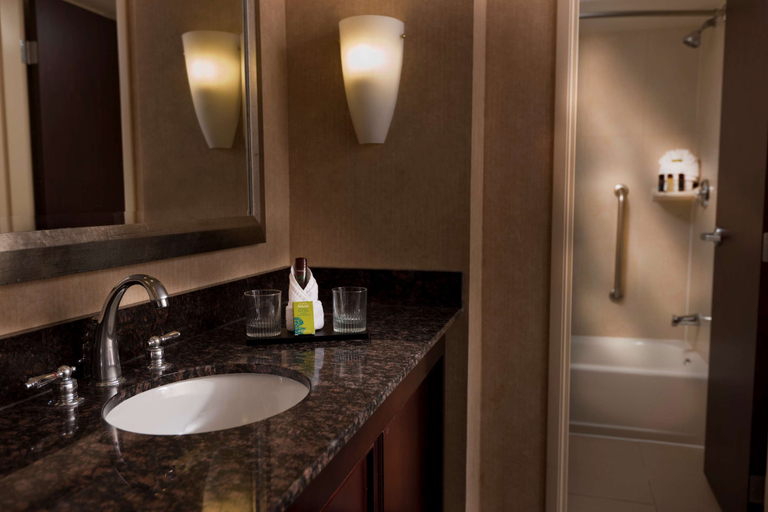 Bathroom 5, Embassy Suites Lubbock, Lubbock