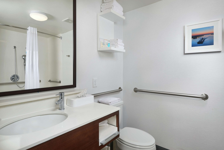 Bathroom 4, Hampton Inn Beaumont, Jefferson