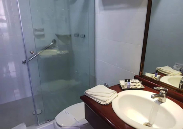 Bathroom 5, Hotel Ciros, San Agustín Tlaxiaca