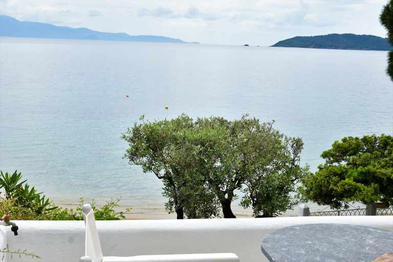 Others 5, Villa Anthi, Thessaly