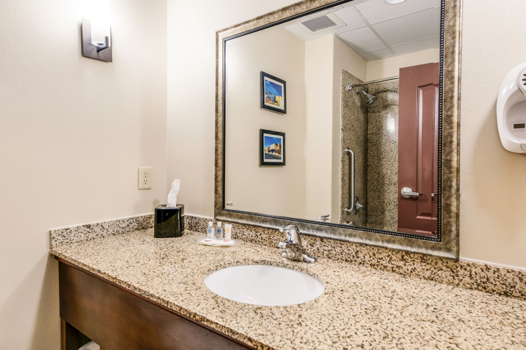 Bathroom 5, Comfort Suites Fort Stockton, Pecos