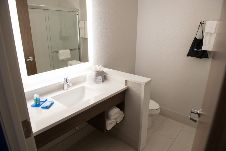 Bathroom 4, Holiday Inn Express & Suites DAYTON NORTH - VANDALIA by IHG, Montgomery