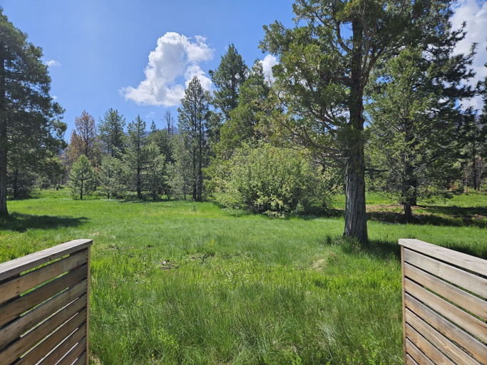 Others 4, The Black Forest Lodge, Tehama