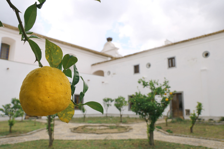 Others 5, Convento da Orada, Reguengos de Monsaraz