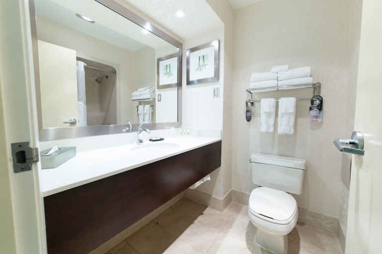 Bathroom 5, Holiday Inn & Suites WINDSOR (AMBASSADOR BRIDGE) by IHG, Essex