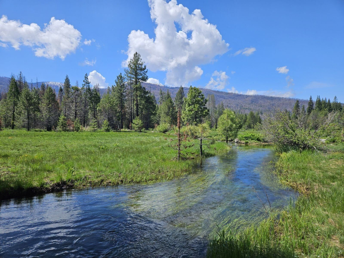Others 5, The Black Forest Lodge, Tehama