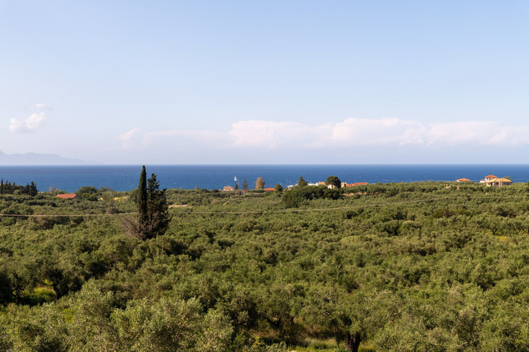 Others 5, Mysa Nature Apartments, Ionian Islands