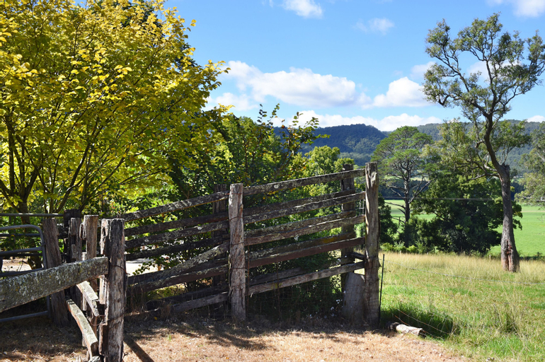 Scenery