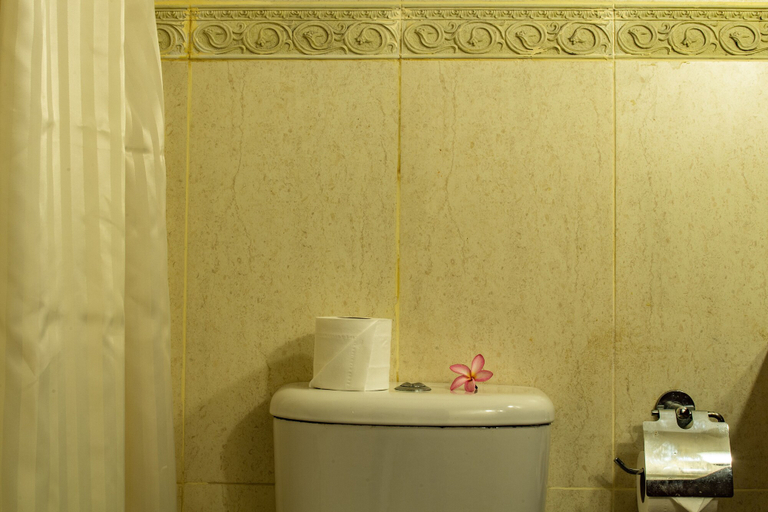 Bathroom 4, Aanari Hotel and Spa, Black River
