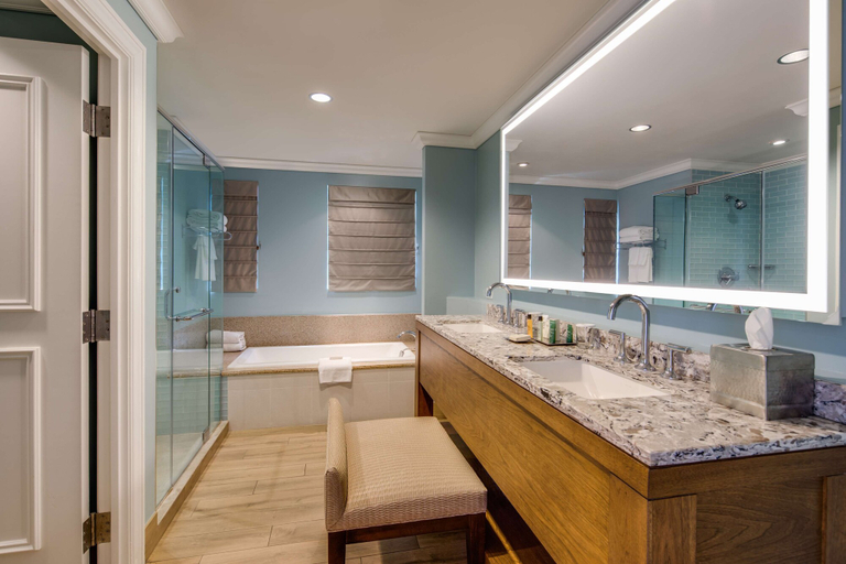 Bathroom 5, Hilton Barbados Resort