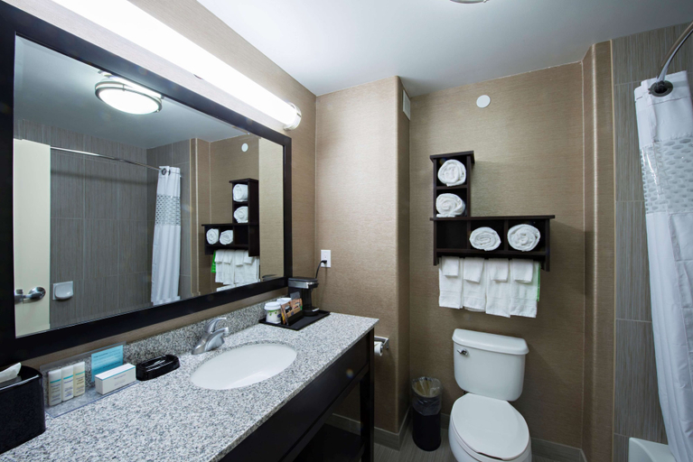 Bathroom 4, Hampton Inn Saskatoon South, Division No. 11