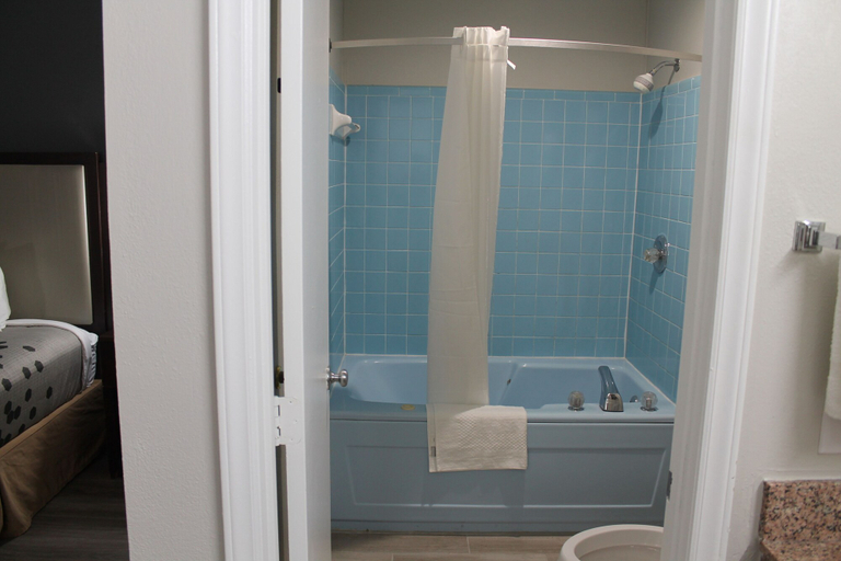 Bathroom 4, Econo Lodge Cheraw Market Street, Chesterfield