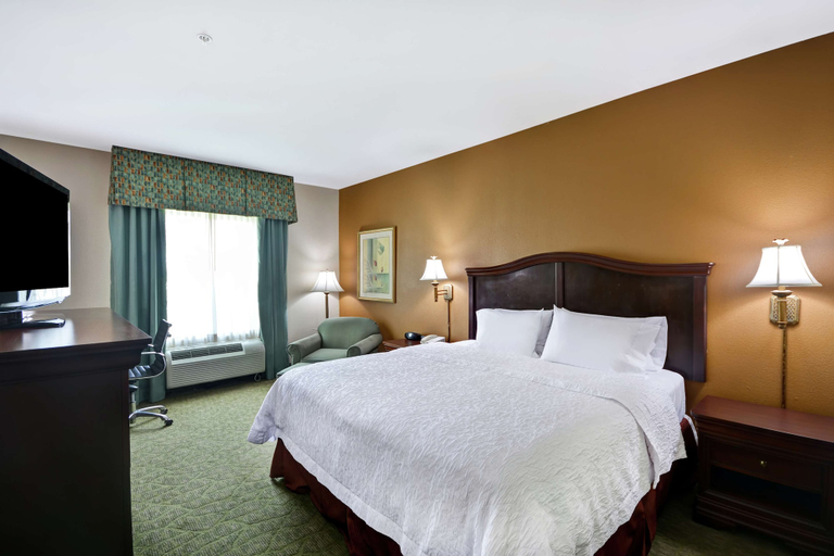 Bedroom 3, Hampton Inn Corpus Christi-Northwest I-37, Nueces