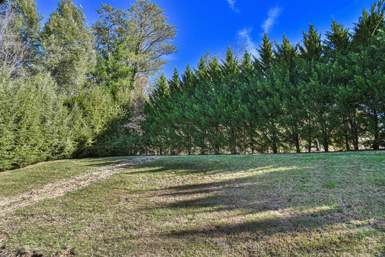Others 4, Kingdom on Knollwood, Buncombe