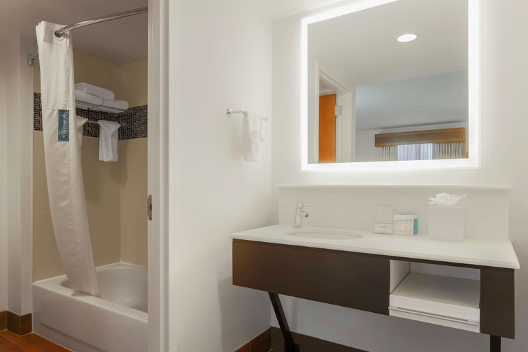 Bathroom 5, Hampton Inn & Suites by Hilton Austin Downtown, Travis