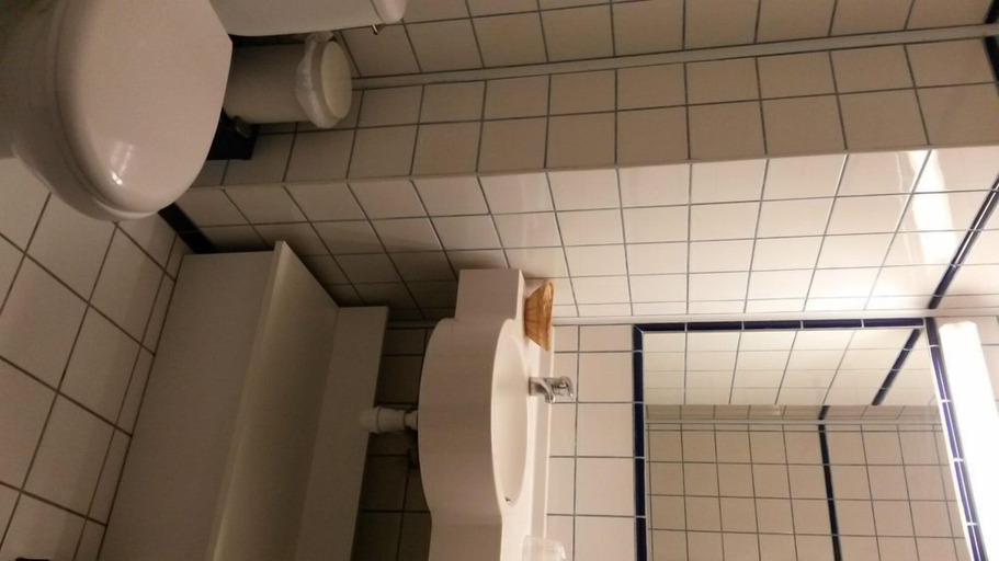 Bathroom 5, Au Relais de Clamart, Hauts-de-Seine
