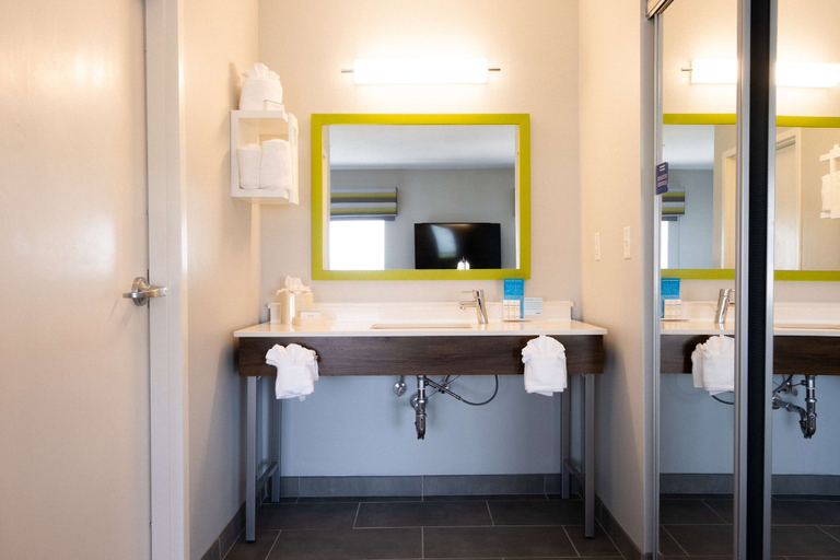 Bathroom 4, Hampton Inn & Suites Dallas/Lewisville-Vista Ridge Mall, TX, Denton
