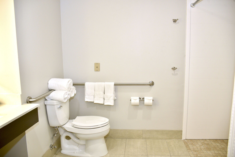 Bathroom 4, Holiday Inn Express WINDSOR SONOMA WINE COUNTRY, Sonoma