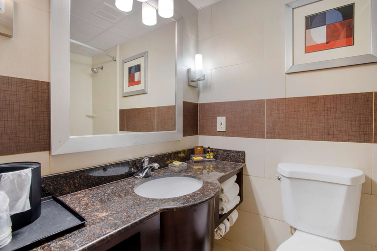 Bathroom 4, Best Western Plus Poconos Hotel, Monroe