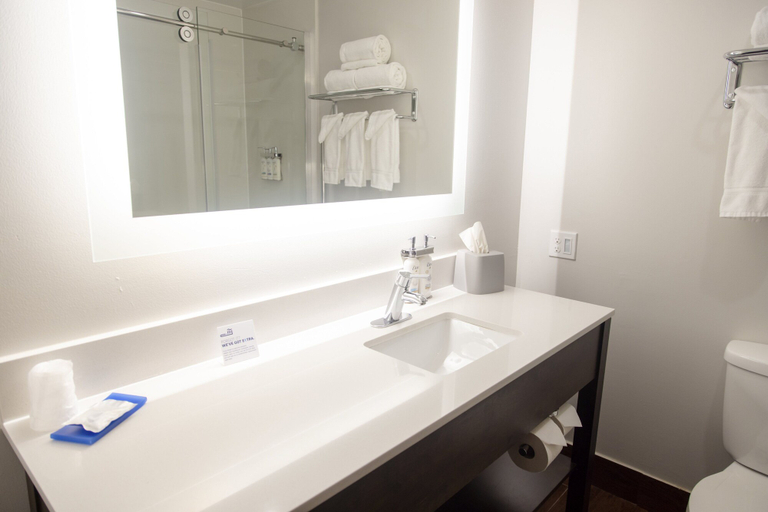 Bathroom 3, Holiday Inn Express MARSHFIELD (SPRINGFIELD AREA) by IHG, Webster