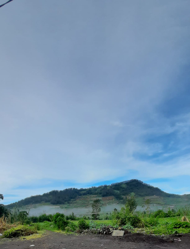 Others 5, Homestay Castanea Dieng, Wonosobo
