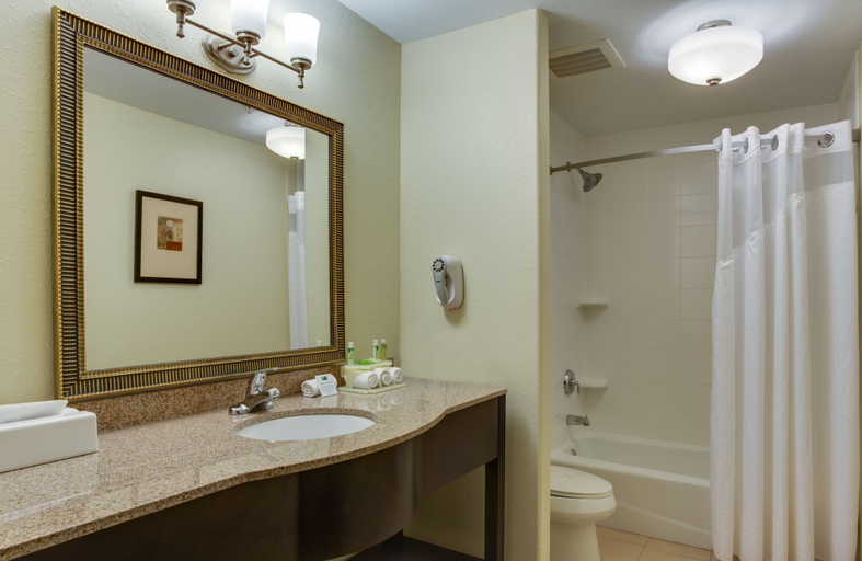 Bathroom 4, Holiday Inn Express & Suites MOULTRIE, Colquitt
