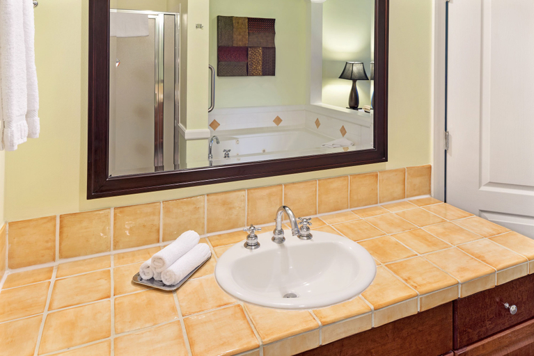 Bathroom 4, Hilton Vacation Club Grand Beach Orlando, Orange