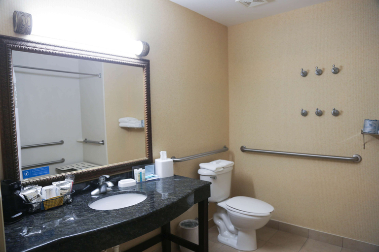 Bathroom 4, Hampton Inn Morehead , Rowan
