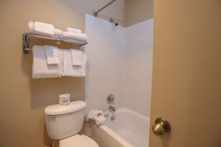 Bathroom 4, Ebb Tide Oceanfront Inn, Clatsop