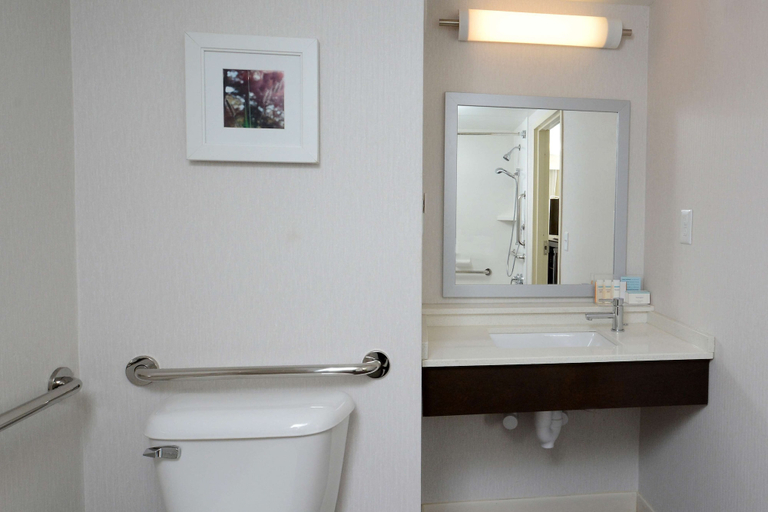 Bathroom 4, Hampton Inn Roxboro, Person
