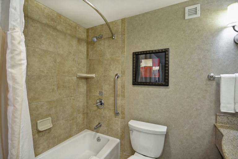 Bathroom 4, Hilton Garden Inn Toledo Perrysburg, Wood