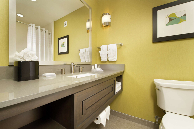 Bathroom 4, Hilton Garden Inn College Station, Brazos