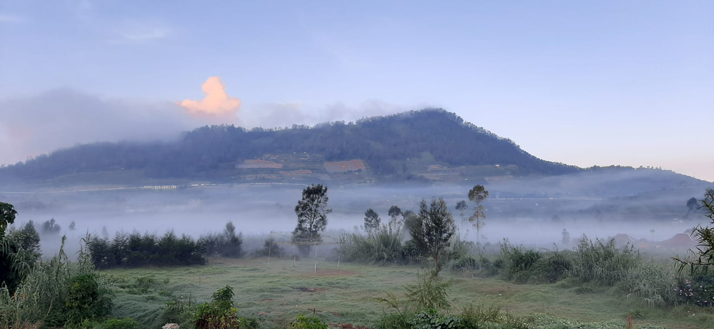 Others 4, Homestay Castanea Dieng, Wonosobo