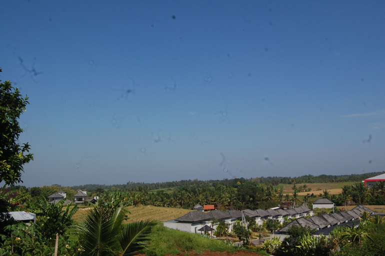 Scenery 21