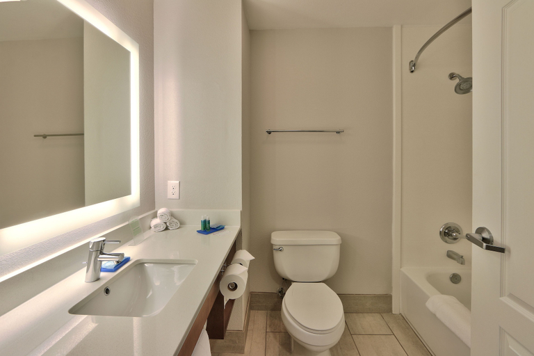 Bathroom 3, Holiday Inn Express & Suites PORTALES, Roosevelt