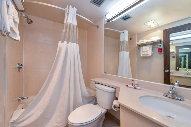 Bathroom 4, Ramada by Wyndham Grand Junction, Mesa