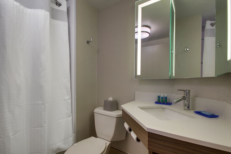 Bathroom 5, Holiday Inn Express VOORHEES - MT. LAUREL by IHG, Camden