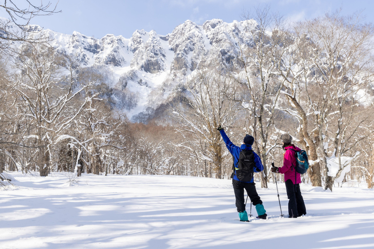 Others 4, Yadoya Shiroganeya, Nagano