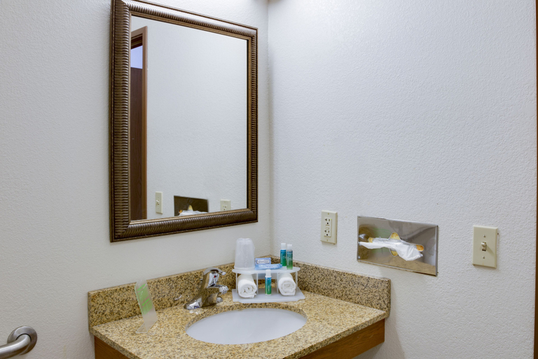 Bathroom 4, Holiday Inn Express & Suites DUBUQUE-WEST by IHG, Dubuque