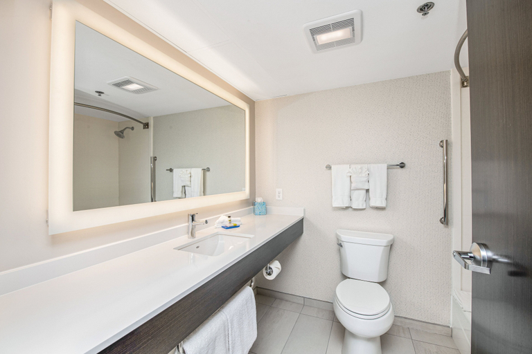Bathroom 4, Holiday Inn Express & Suites DELAFIELD by IHG, Waukesha
