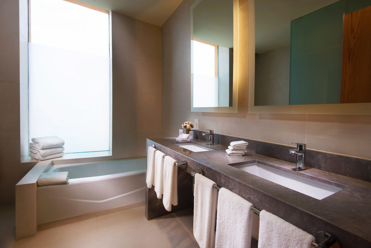 Bathroom 5, Hilton Garden Inn Monterrey Airport, Apodaca