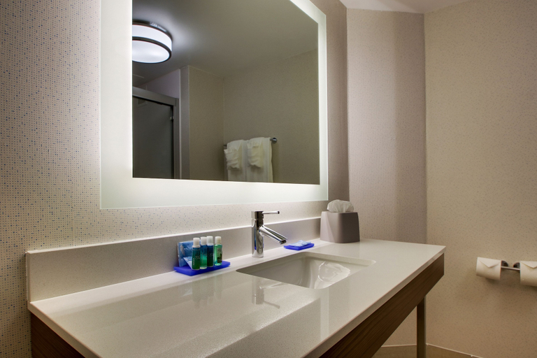 Bathroom 5, Holiday Inn Express VOORHEES - MT. LAUREL by IHG, Camden