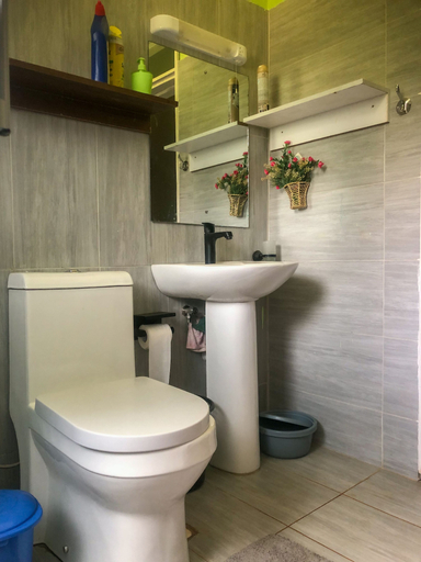 Bathroom 2, Stunning Karen Home With Modern Amenities, Langata