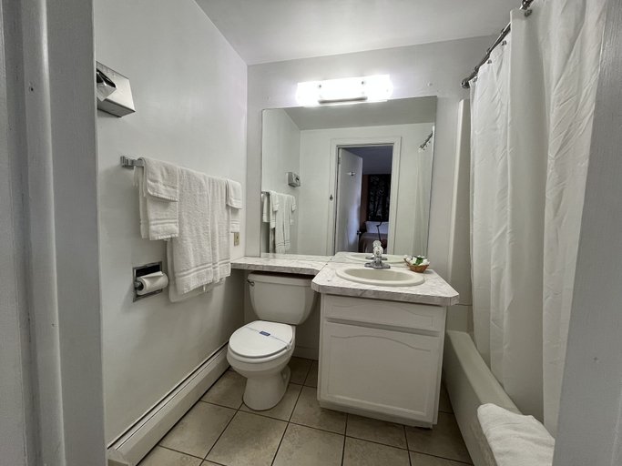 Bathroom 3, Mansfield Inn, Tioga