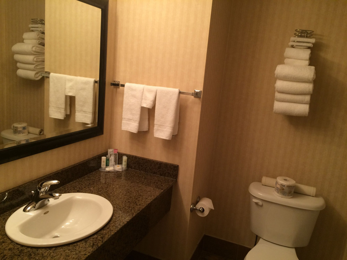 Bathroom 4, Comfort Inn And Suites Edson, Division No. 14