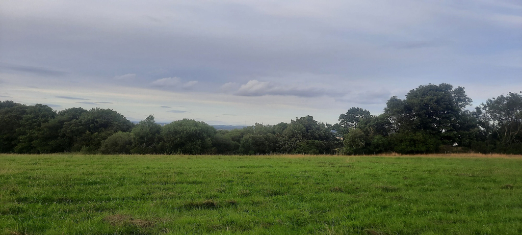 Property grounds 4, Cozy Lanarkshire Apartment With a View, South Lanarkshire