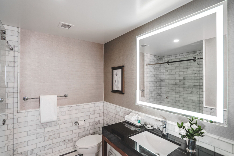 Bathroom 5, Lord Elgin Hotel, Ottawa