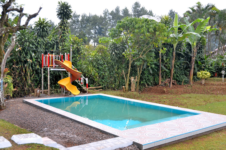 Swimming Pool 3
