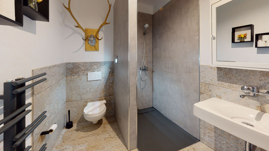 Bathroom 3, Hotel Adler, Hallein